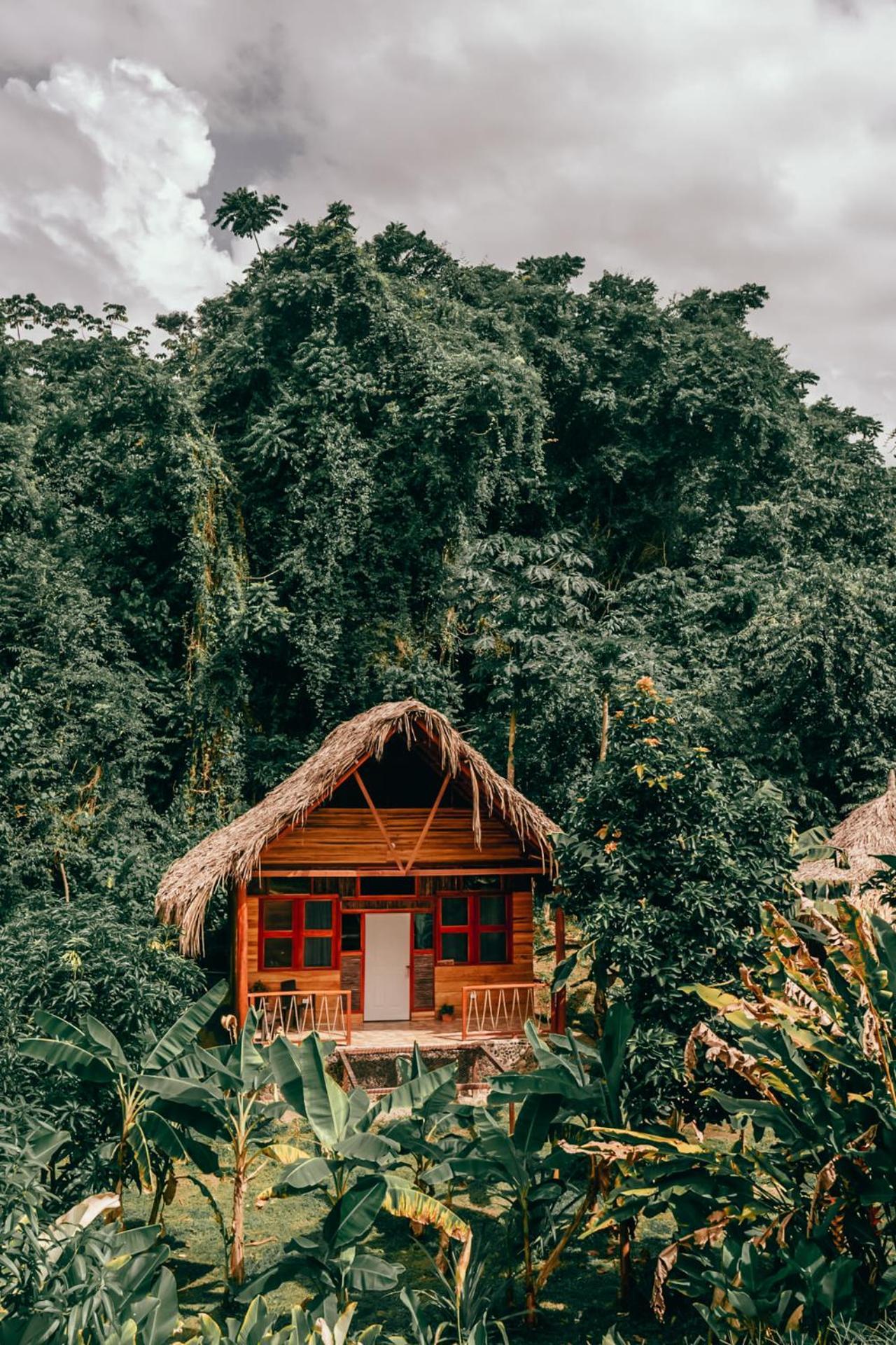 Magic Green Dentro Del Parque Tayrona El Zaino Exterior photo