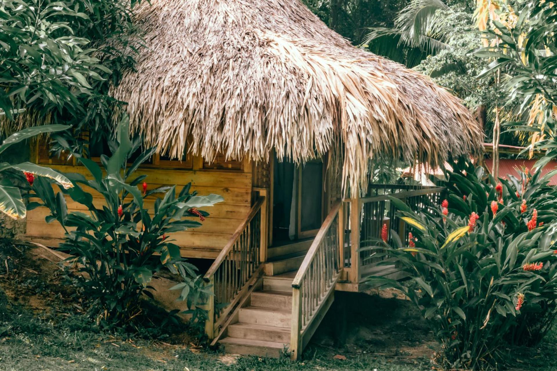 Magic Green Dentro Del Parque Tayrona El Zaino Exterior photo
