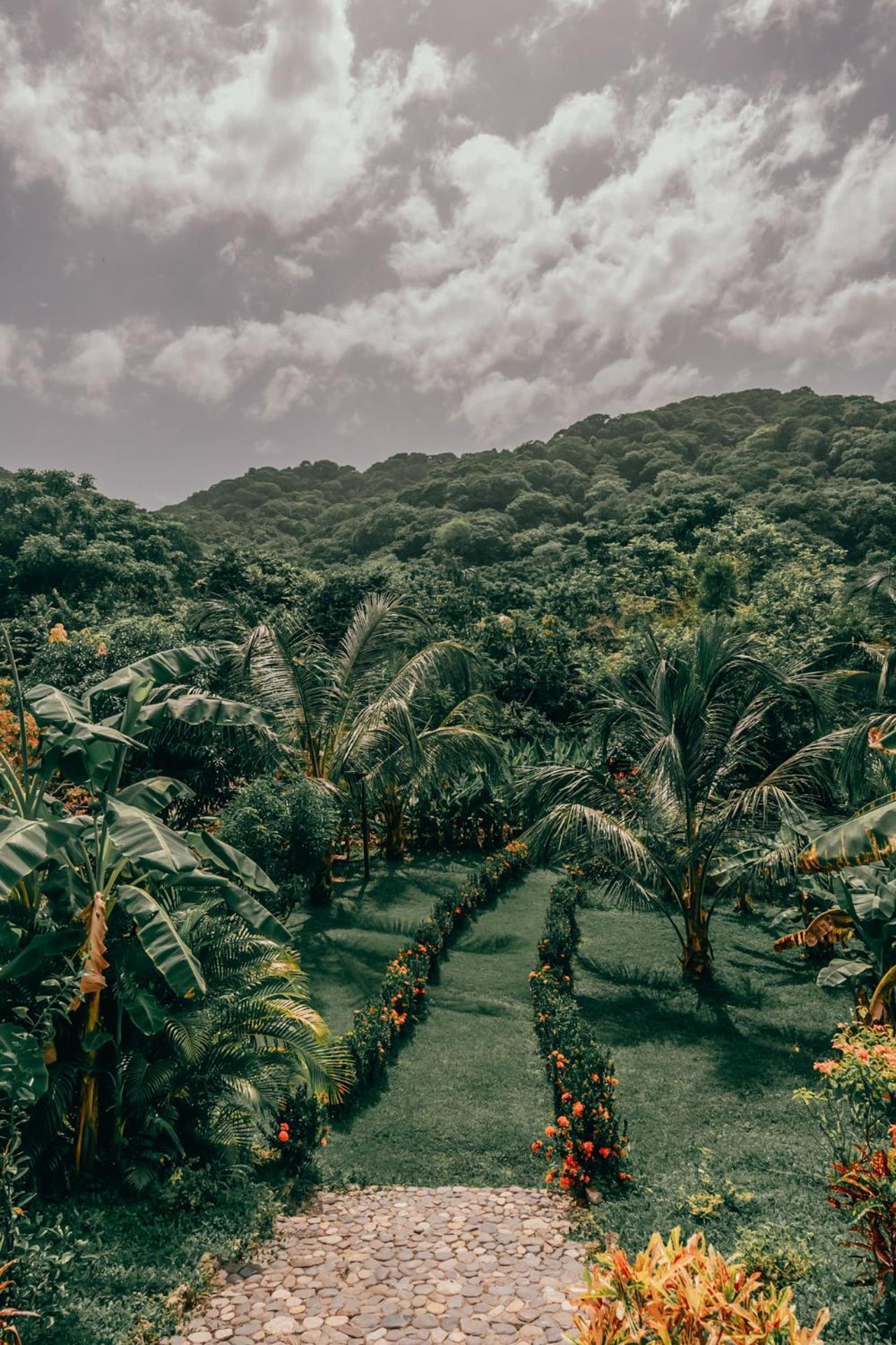 Magic Green Dentro Del Parque Tayrona El Zaino Exterior photo