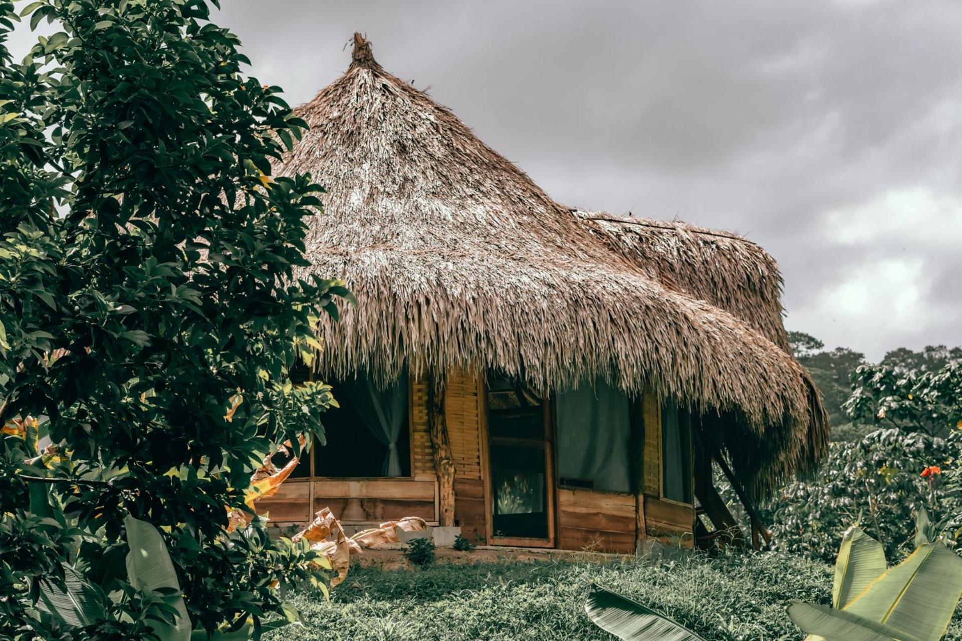Magic Green Dentro Del Parque Tayrona El Zaino Exterior photo