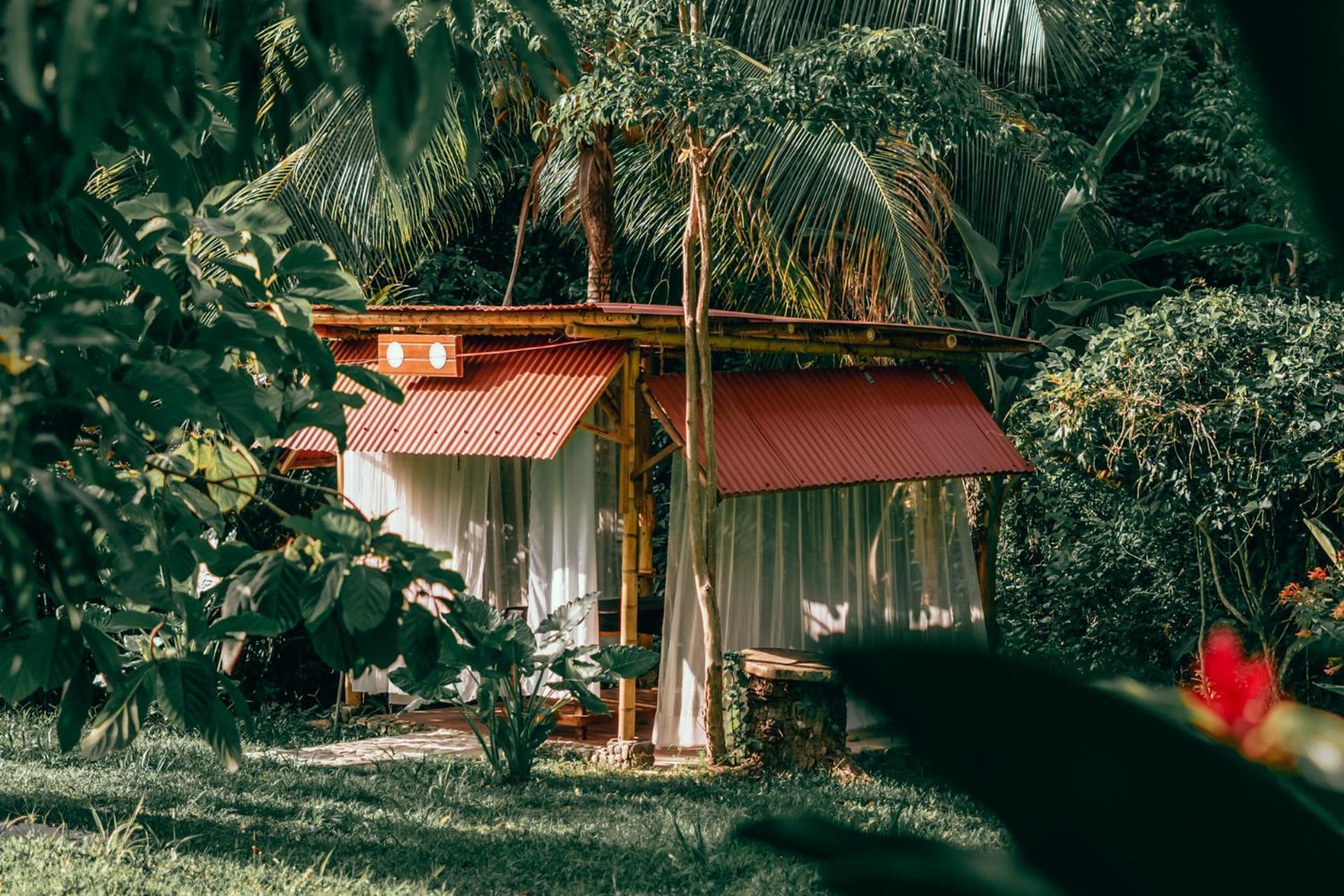 Magic Green Dentro Del Parque Tayrona El Zaino Exterior photo