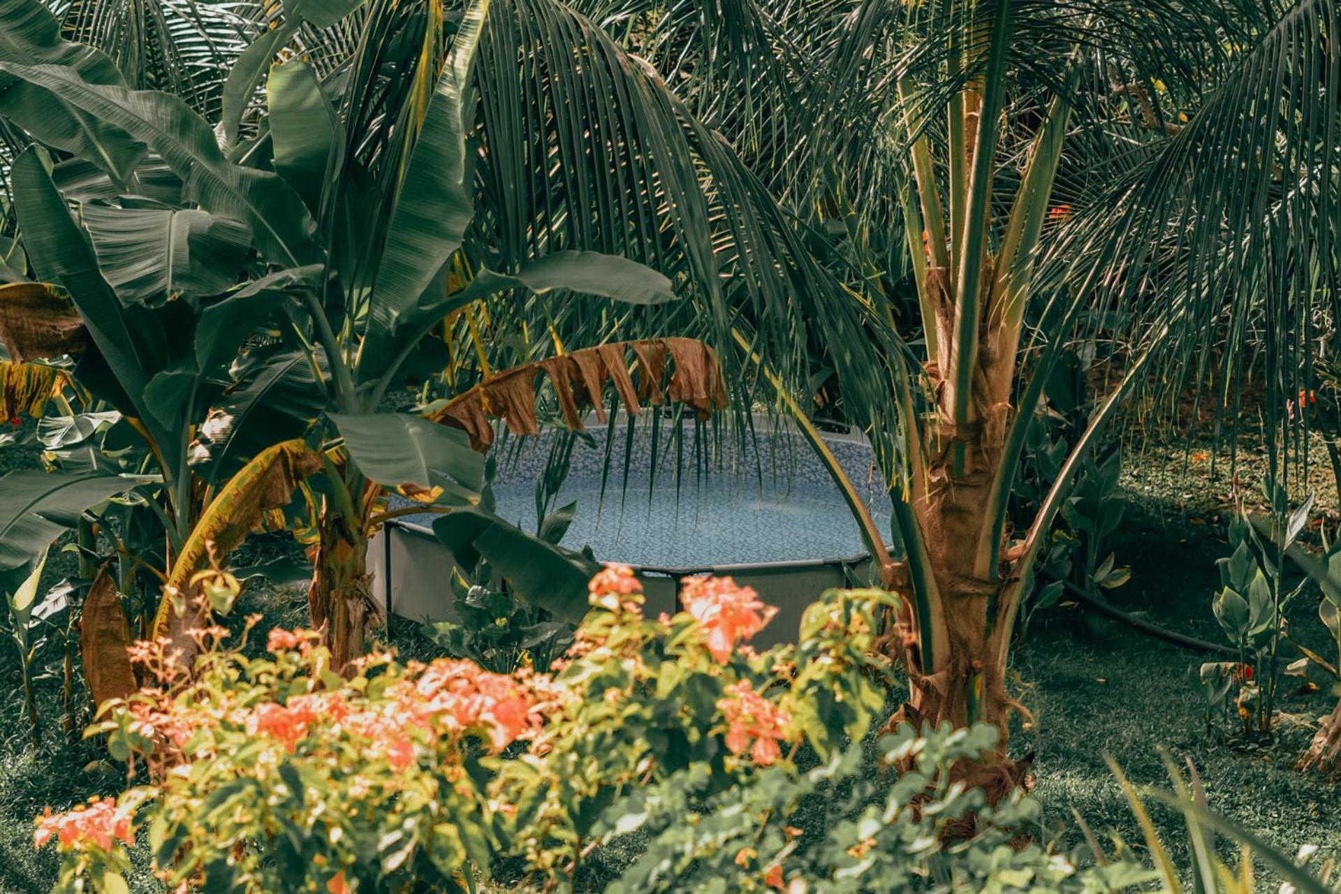 Magic Green Dentro Del Parque Tayrona El Zaino Exterior photo